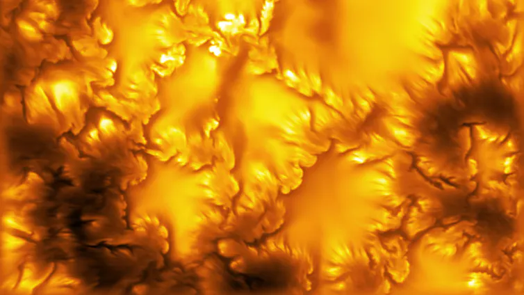 Orange-yellow field with petal-like structures.