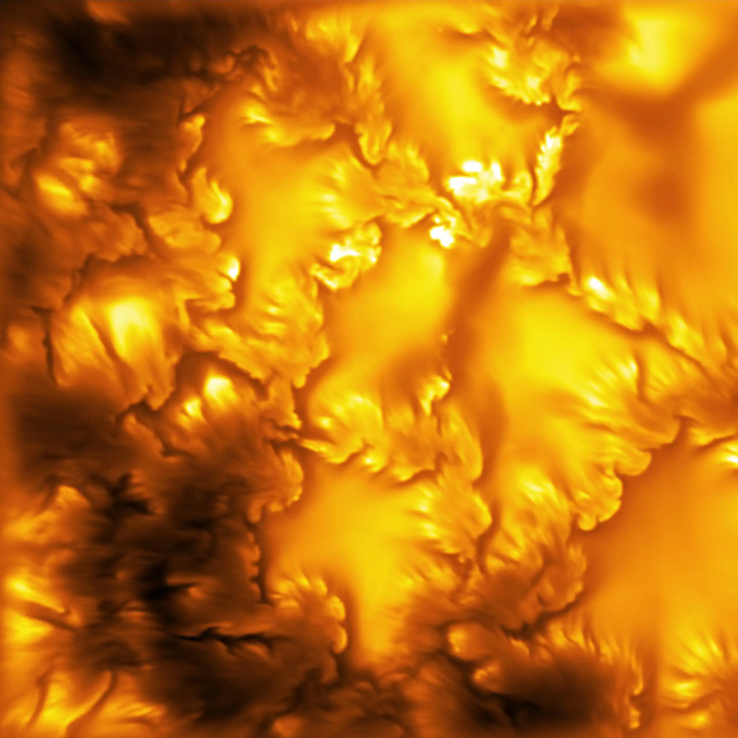 Orange-yellow field with petal-like structures.