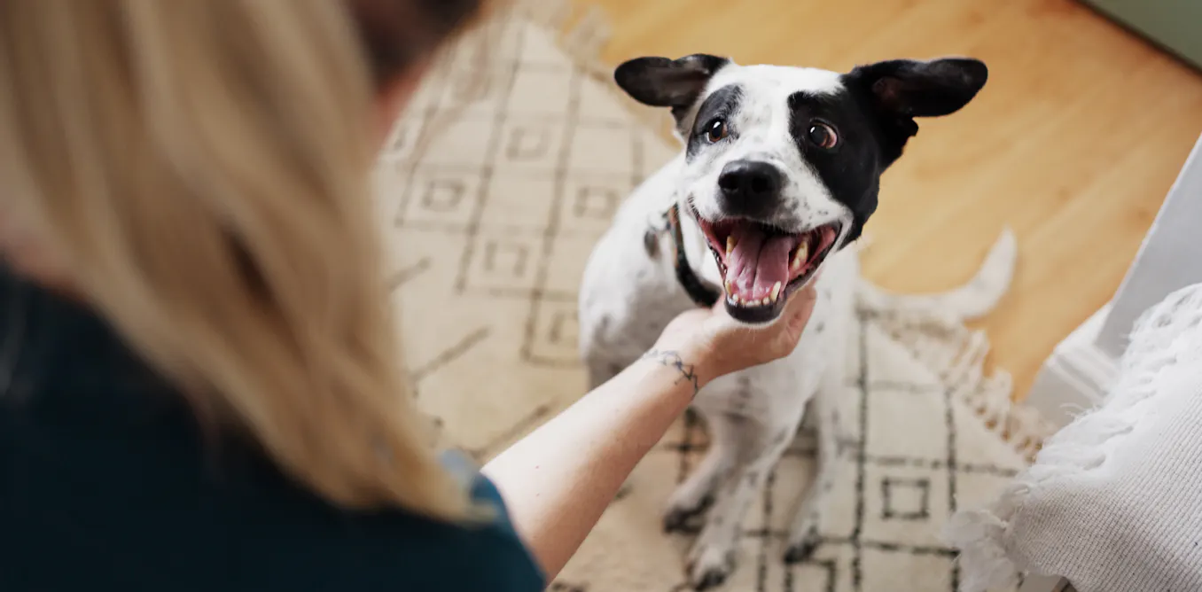 Why do humans use ‘baby voice’ when we speak to pets? Why do humans use ‘baby voice’ when we speak to pets?