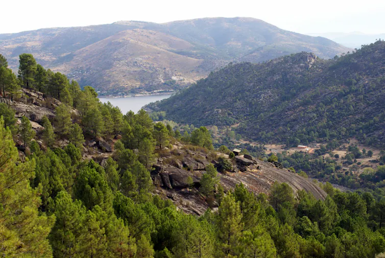 Un valle entre montañas con vegetación dominada por pinos