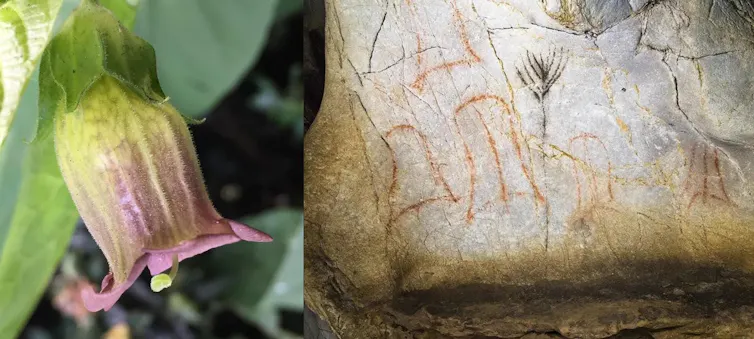 Side by side: a belladonna (Atropa belladonna) flower and detail of the El Castillo bell signs.