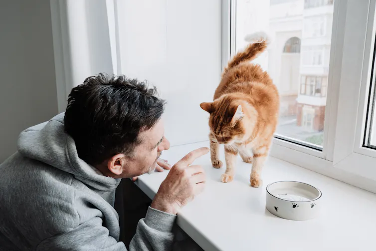 A man is smiling and interacting with a ginger cat standing on a windowsill.