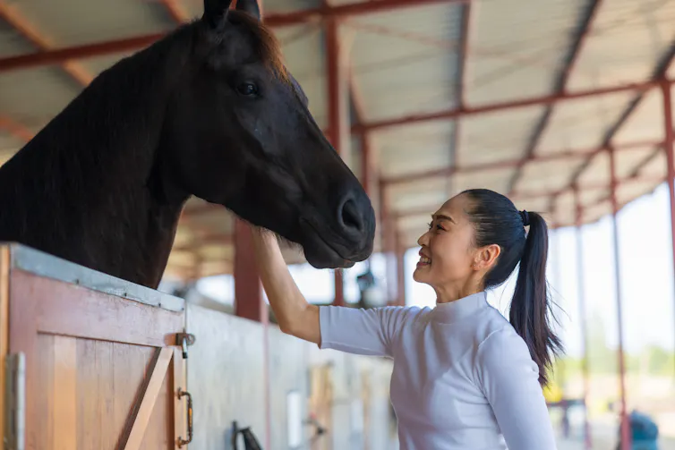 A woman with a ponytail smiles at a black horse housed in a stable.