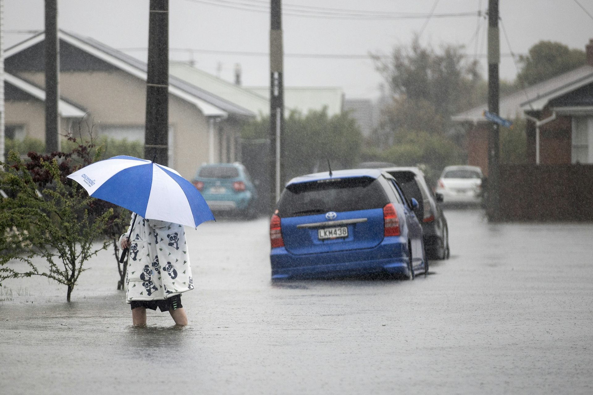 Disabled people face greater climate change risks – and they can also help NZ adapt