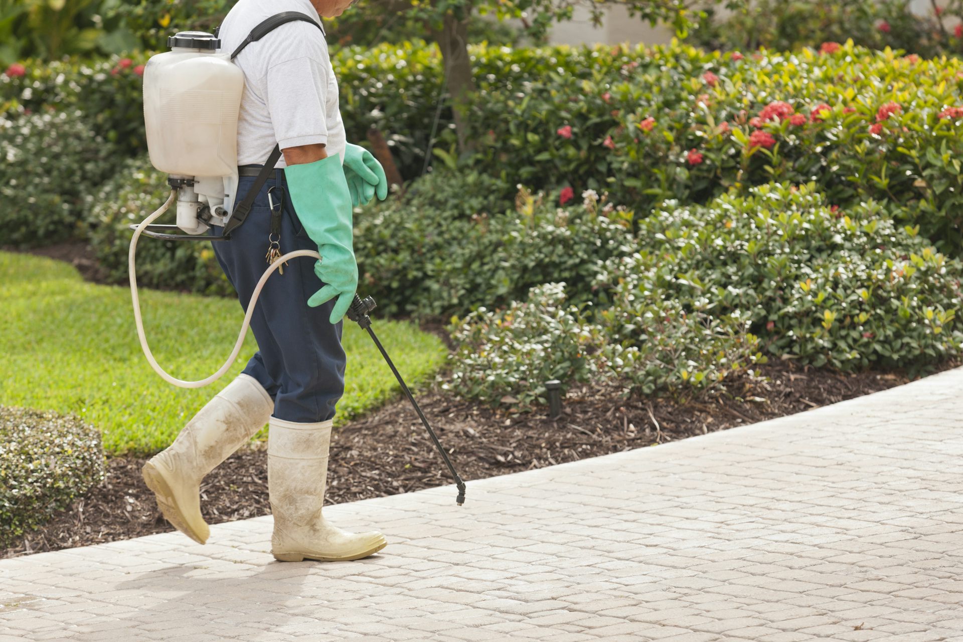 Pesticide exposure at work may increase motor neurone disease risk – new study