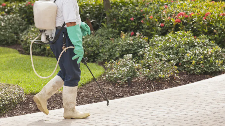 Person applying weed killer to garden.