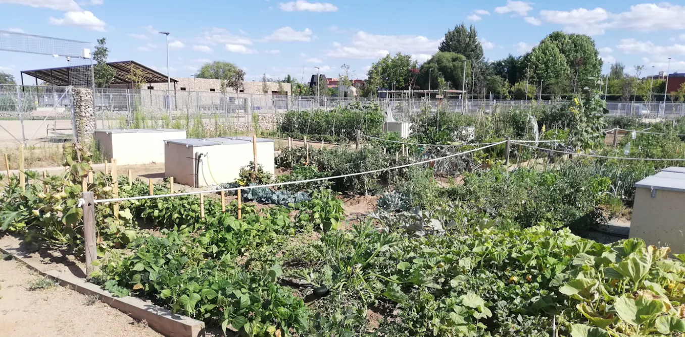 Una paradoja rural: los habitantes del campo español lo tienen más difícil para comer de forma sostenible