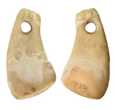 A deer-tooth pendant from Denisova Cave in Russia