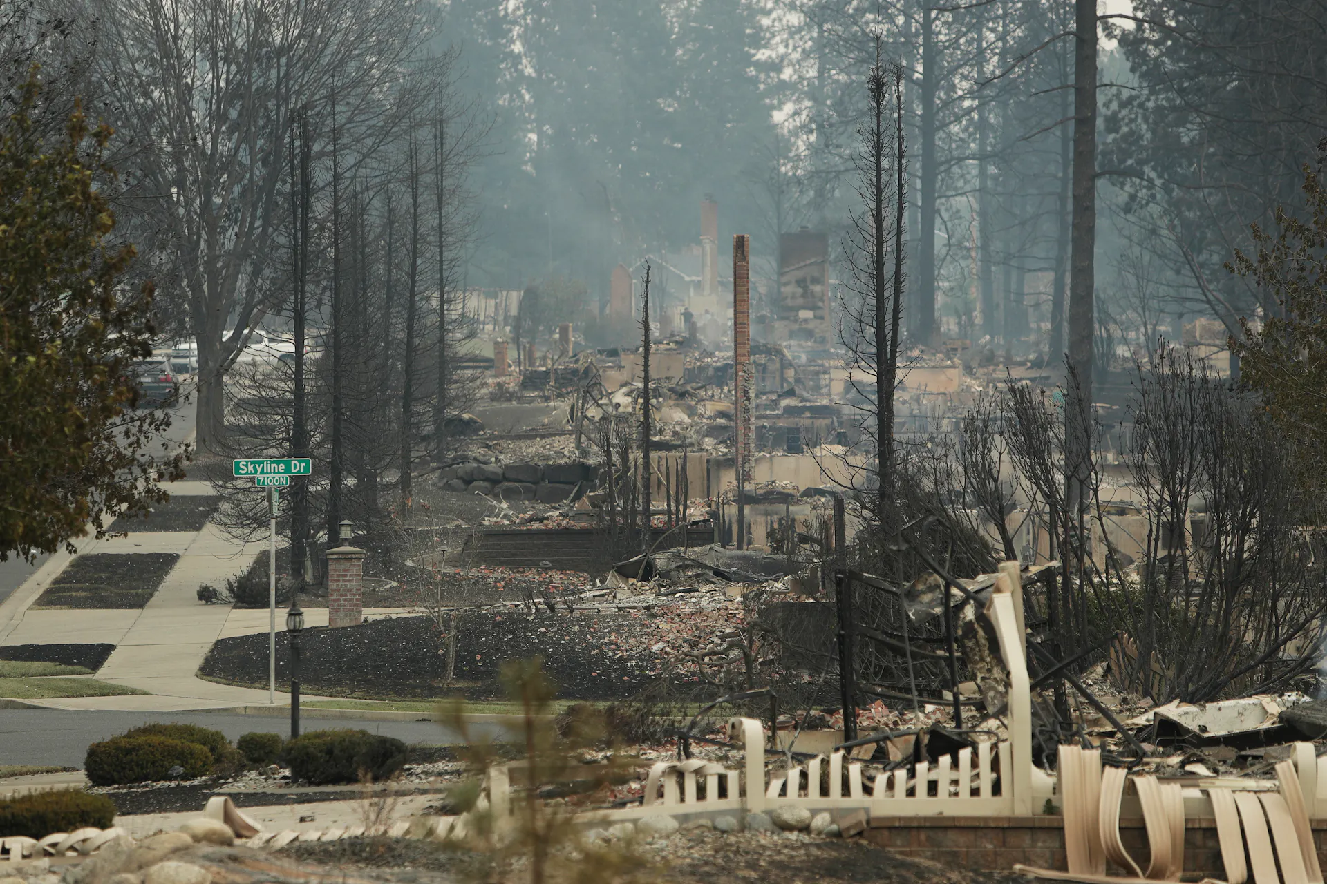 Driveways, sidewalks and yards are evident among the burned debris of homes and scorched tree trunks.