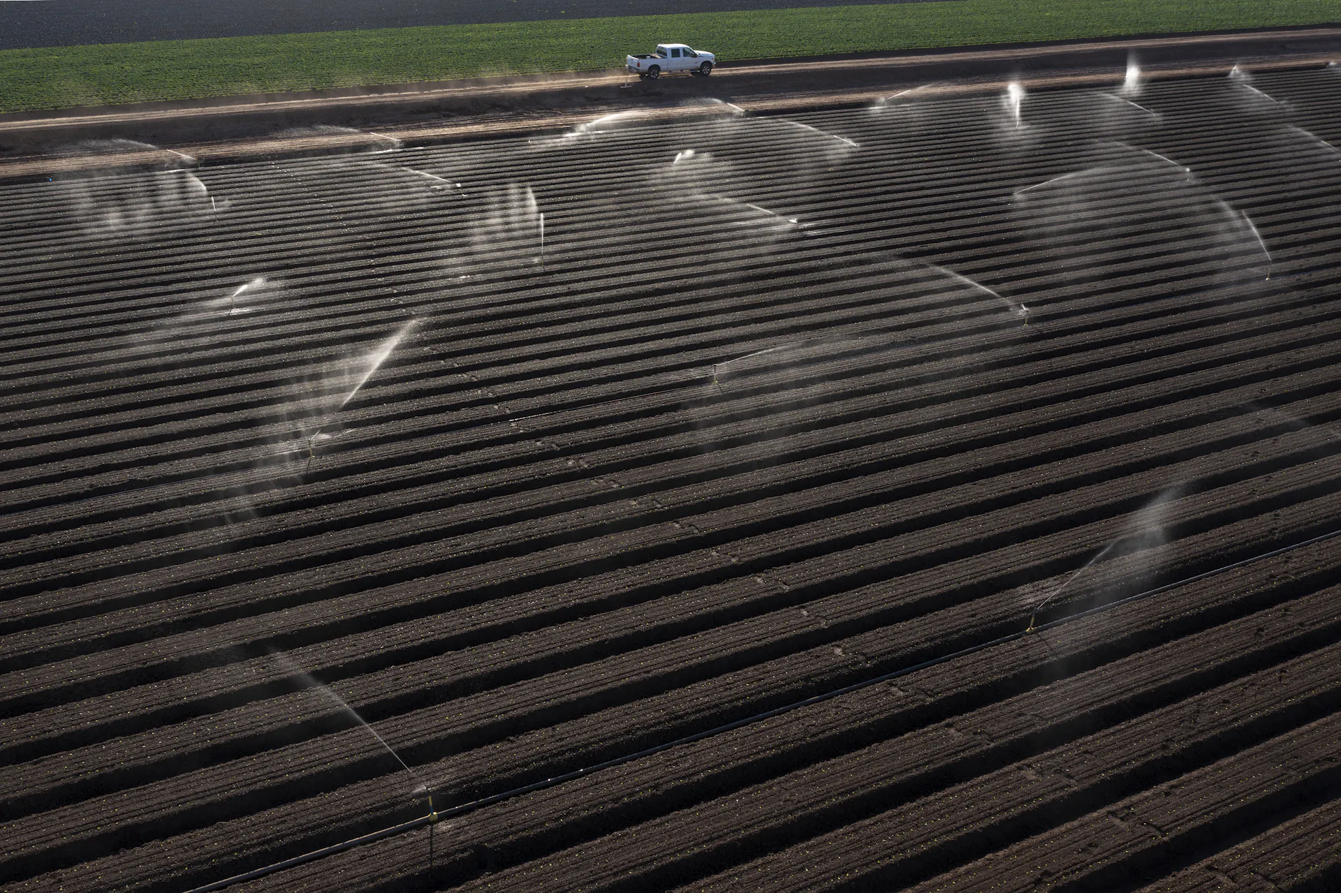 An aerial view of a field with sprinklers spraying water on the crops.