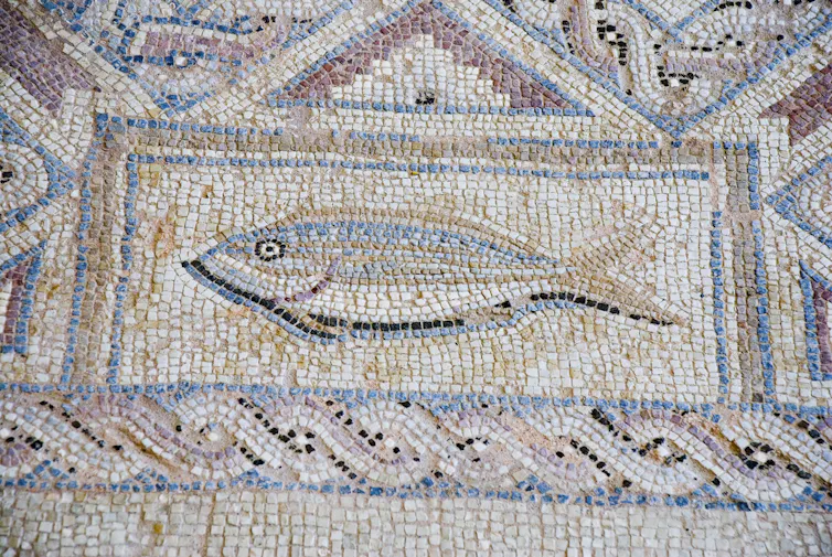 Roman fish mosaic found on the island of Cyprus is on a site believed to be more than 2,000 years old.