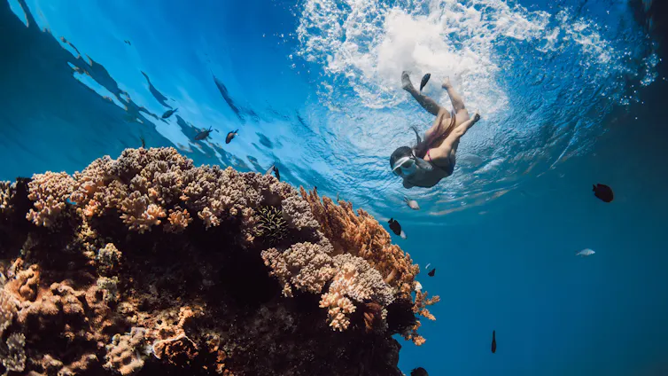 Mujer buceando con gafas de buceo mirando corales del fondo del océano