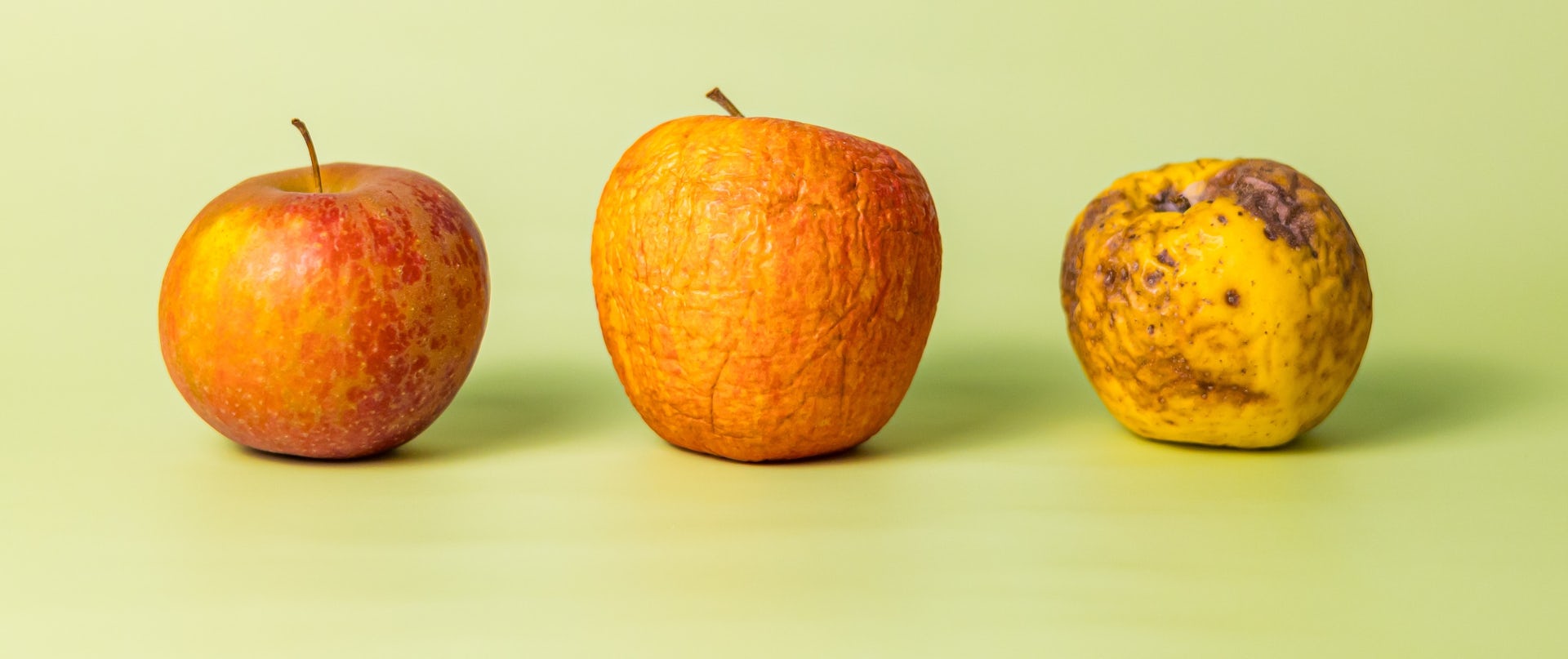 Trois pommes : mûre, abimée, flétrie