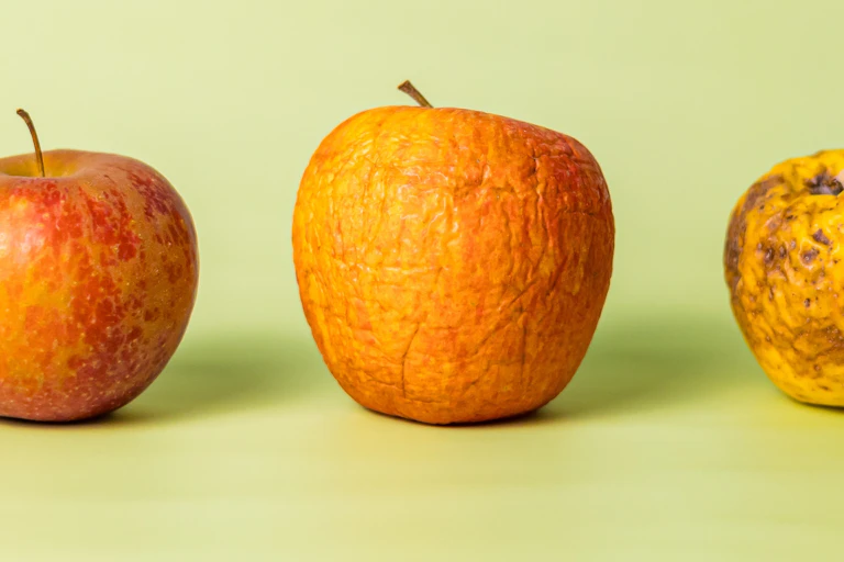 Trois pommes : mûre, abimée, flétrie