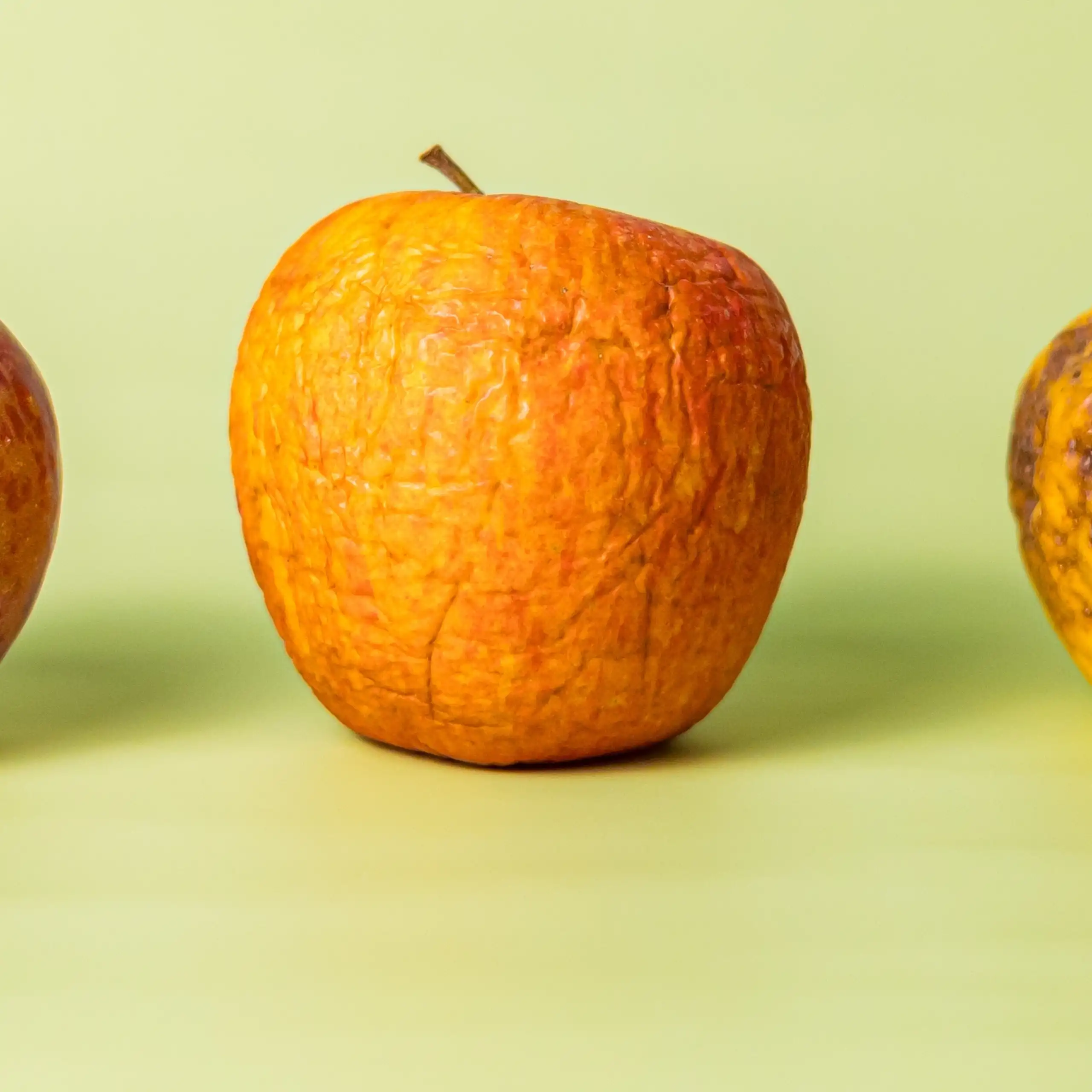 Trois pommes : mûre, abimée, flétrie