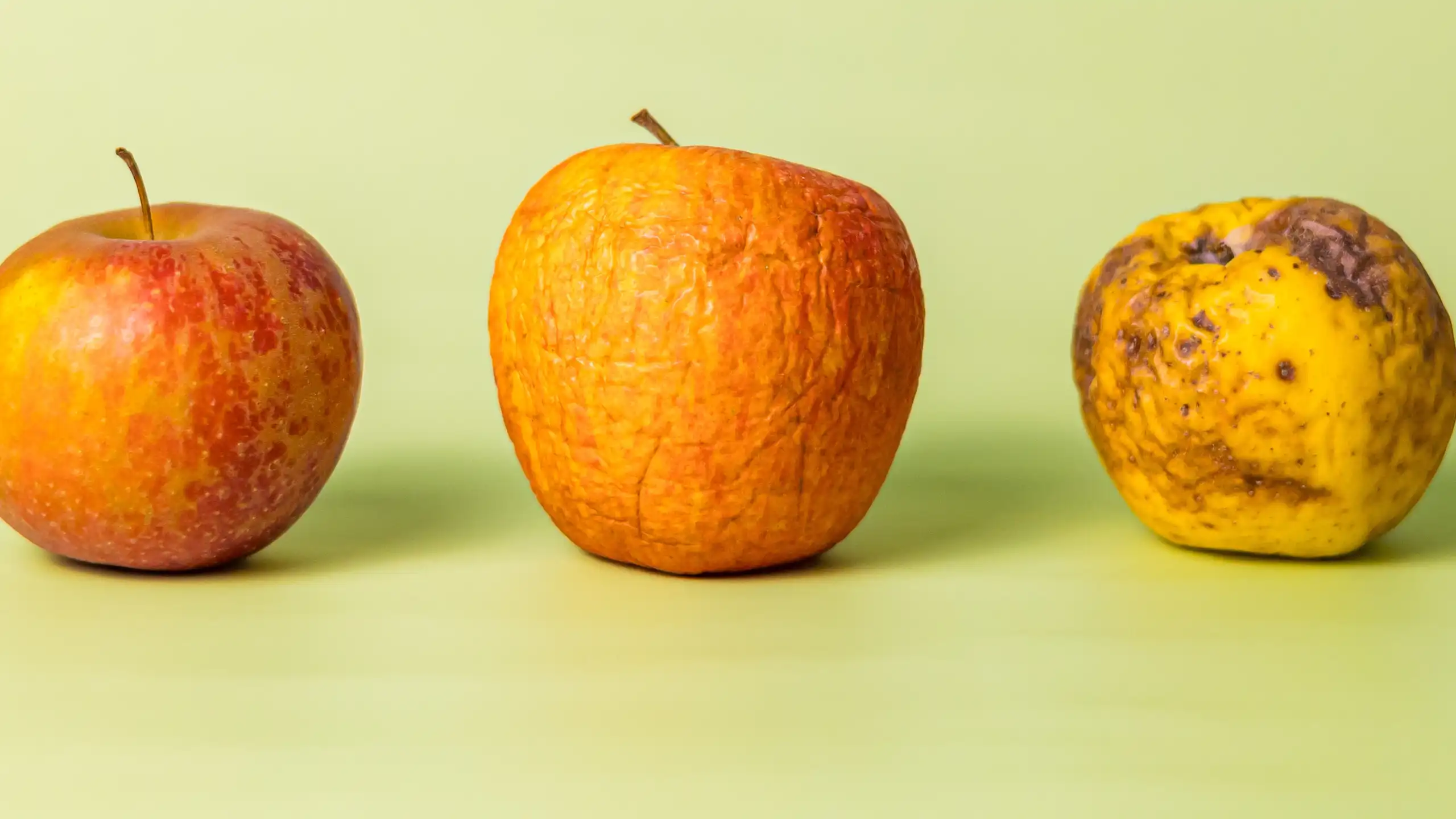 Trois pommes : mûre, abimée, flétrie