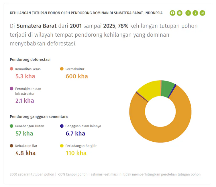deforestasi di sumatra barat