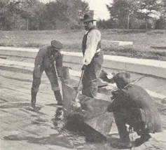 Black and white photo of three workers – two crouching, one standing – laying material on the floor of a pool under construction.