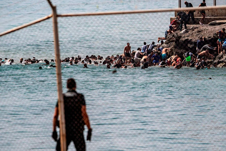 Una persona contempla de espaldas una muchedimbre que alcanza la costa nadando