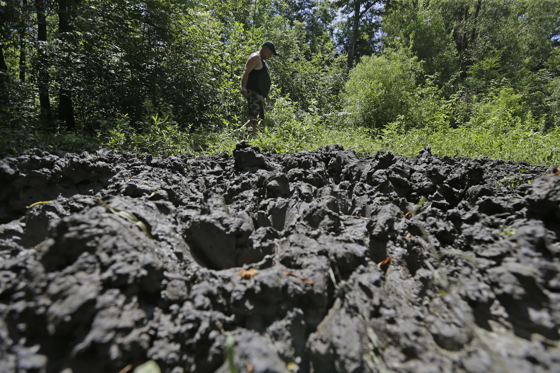 A pile of turned-up mud and dirt in the foreground, with grasses and shrubs in the background.