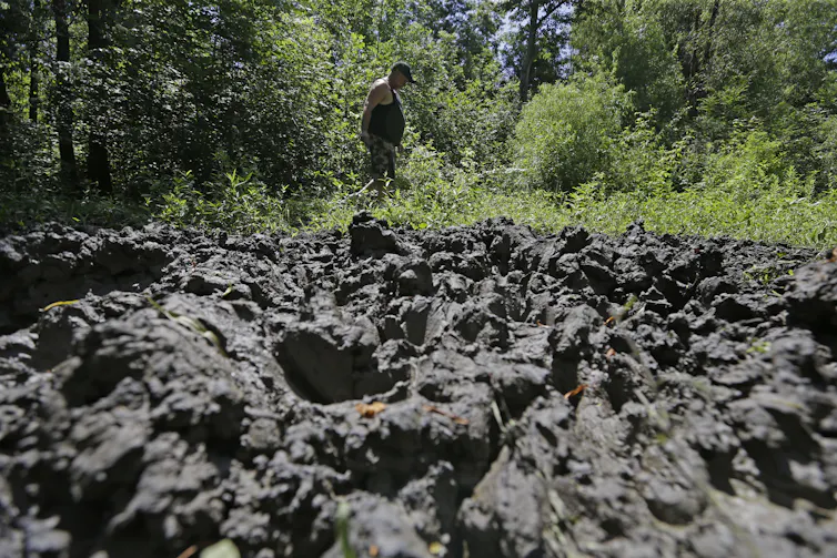 A pile of turned-up mud and dirt in the foreground, with grasses and shrubs in the background.