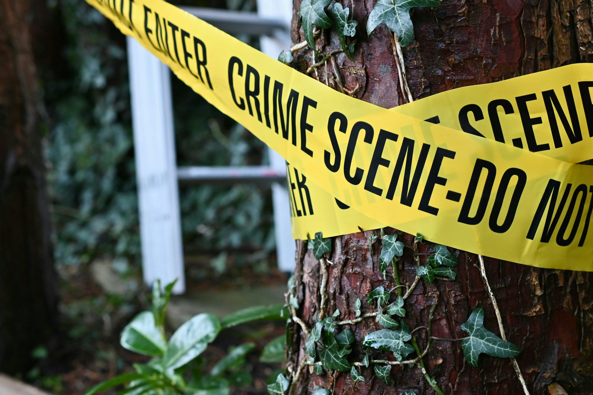 Why are we so obsessed with true crime? Hint: It’s not just morbid curiosity
