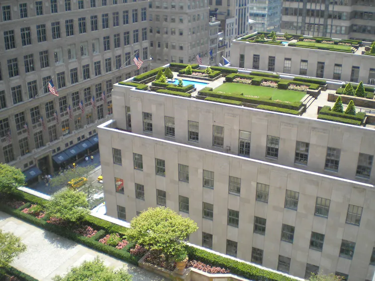 Three rooftops with green lawns and wide walking paths.