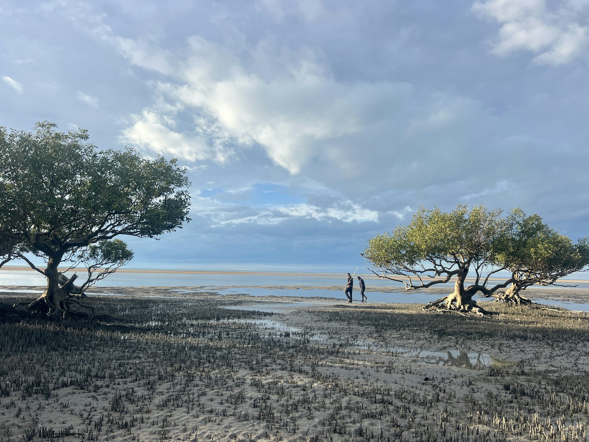 How Indigenous Protected Areas became a vital way to protect nature in Australia