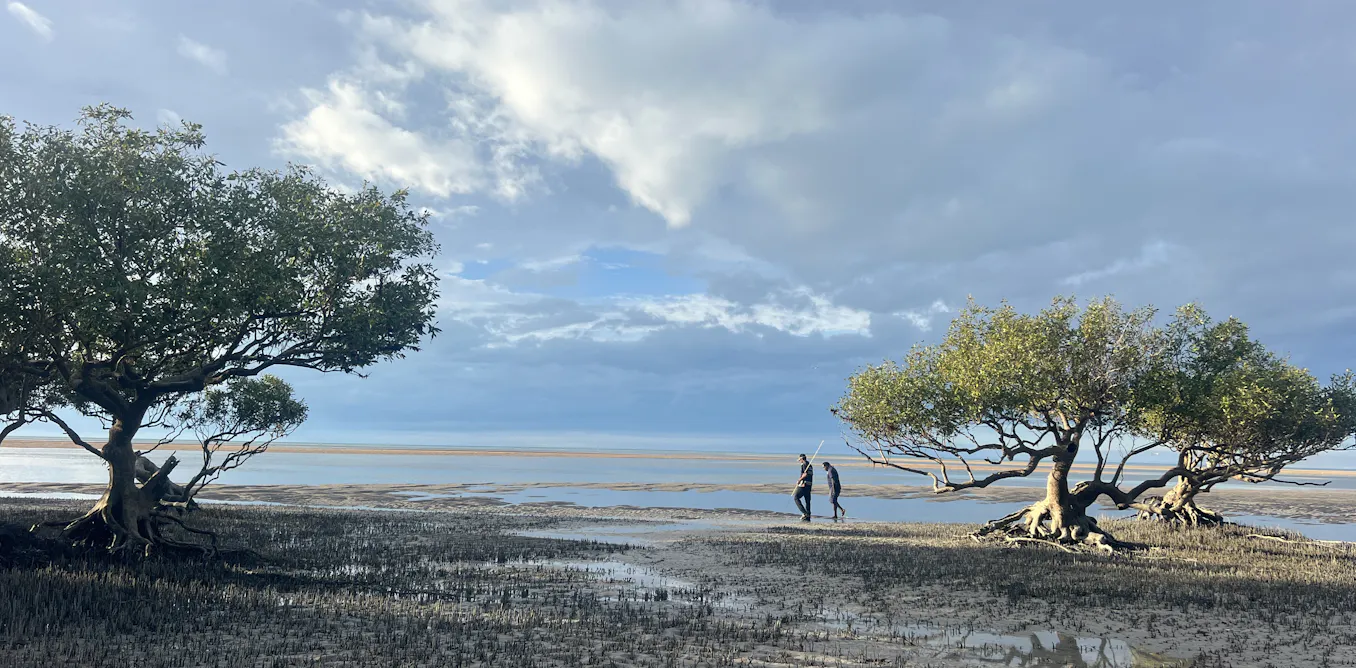 How Indigenous Protected Areas became a vital way to protect nature in Australia