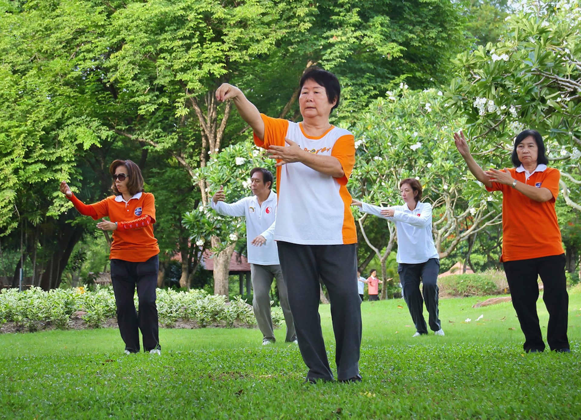 People practising tai chi chuan in a park.