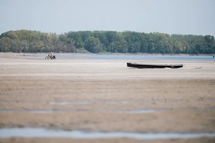 cyclist riding on dry river bed of the danube.