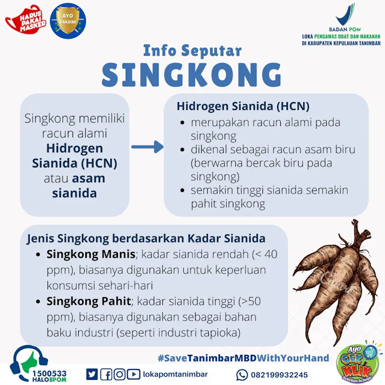 kandungan sianida dalam singkong tidak berbahaya