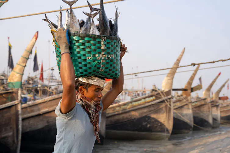 man with basket of fish on his head