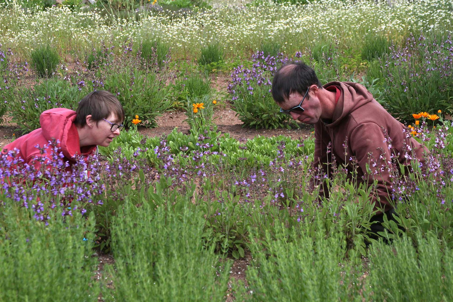 Two people gardening