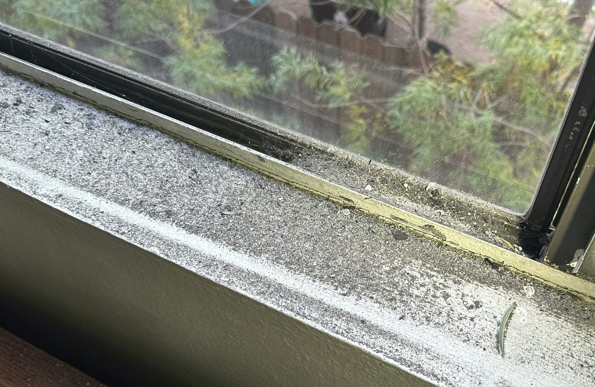 Dark ash or soot in a window sill.
