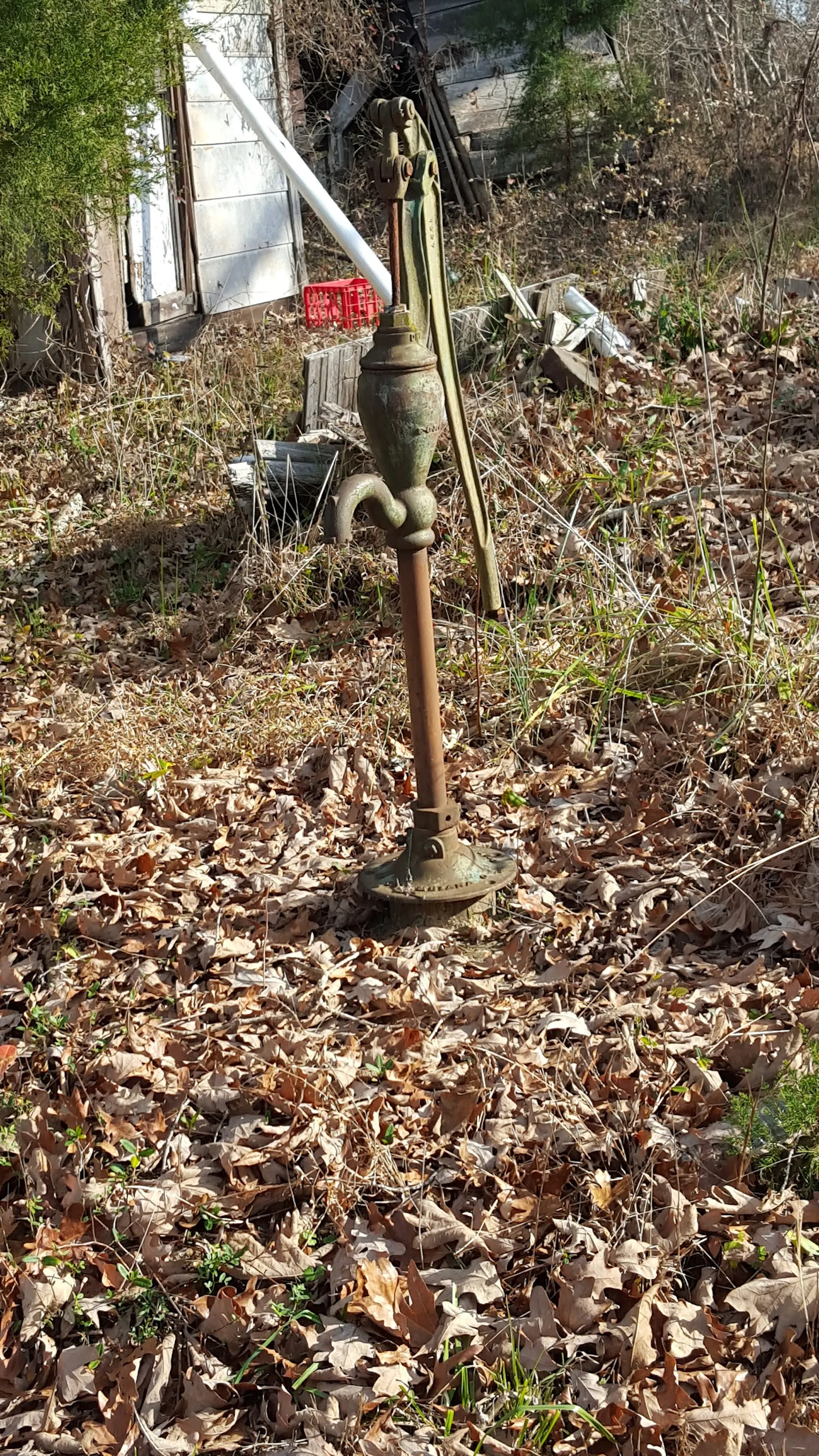 A metal post and spigot rise out of leaf-covered ground.