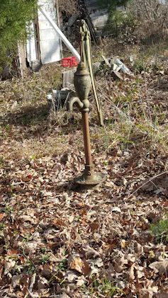 A metal post and spigot rise out of leaf-covered ground.
