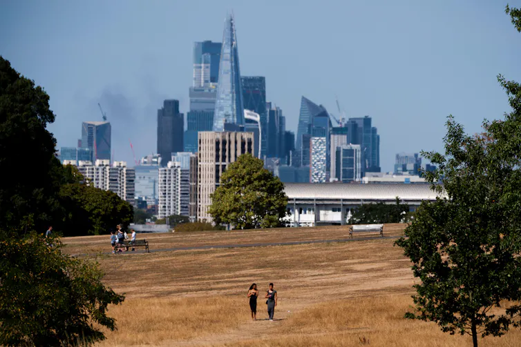 yellow parkland with London skyline in background