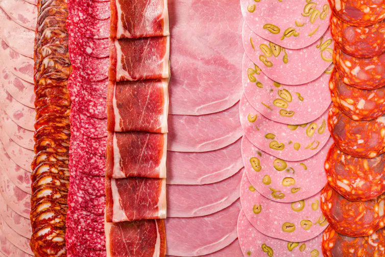 old cuts meat charcuterie slices in a row with pepperoni, chopped, ham, dry-cured prosciutto and chorizo, full frame