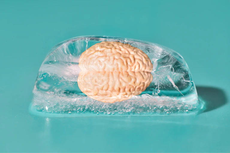 Human brain model inside a clear ice cube
