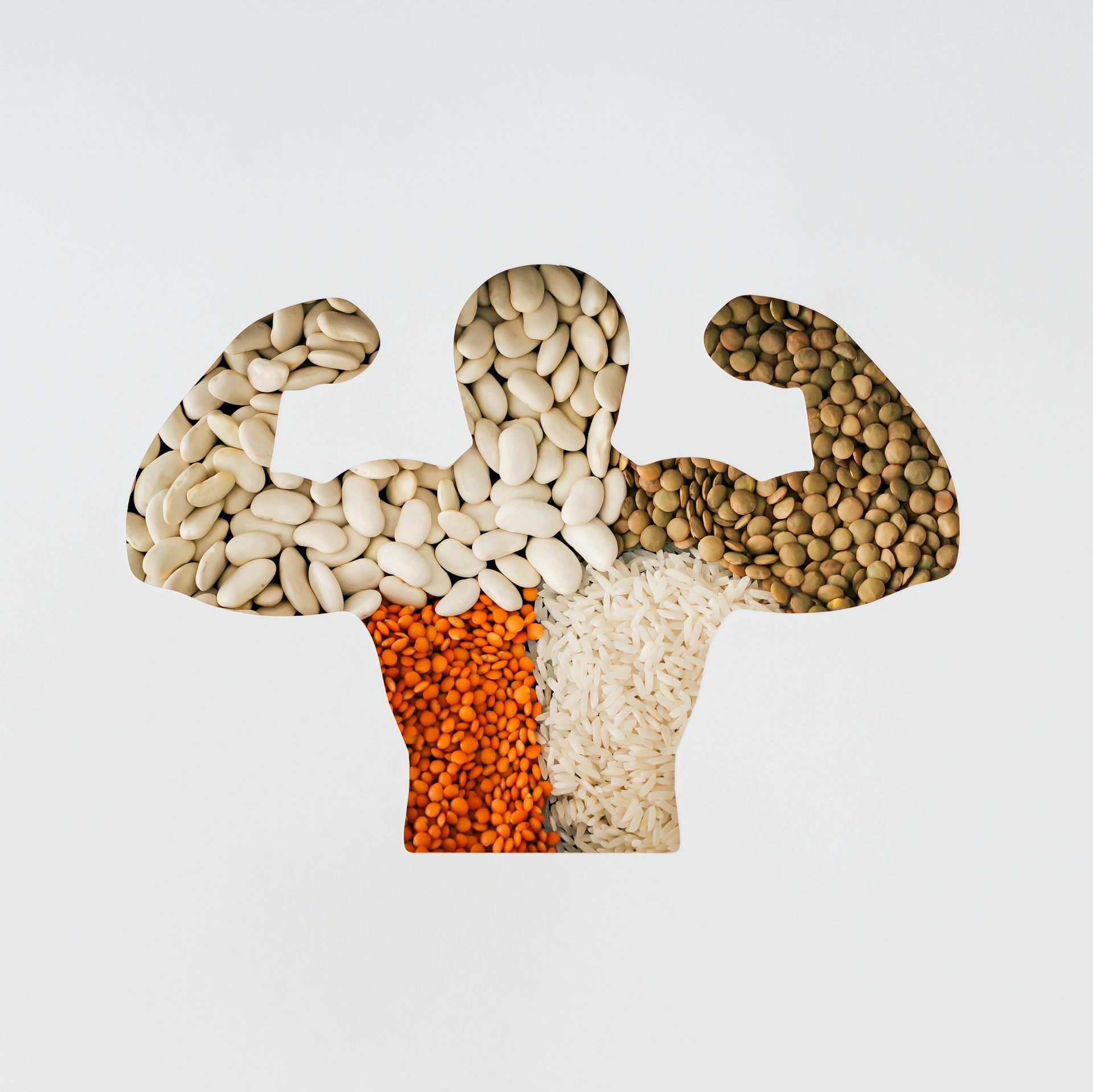 Strong body silhouette filled with beans, lentils and rice on white background.