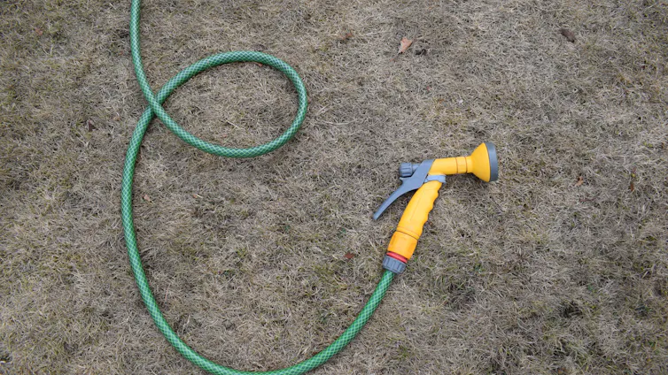 brown dry lawn, green yellow hosepipe lies on ground, no water