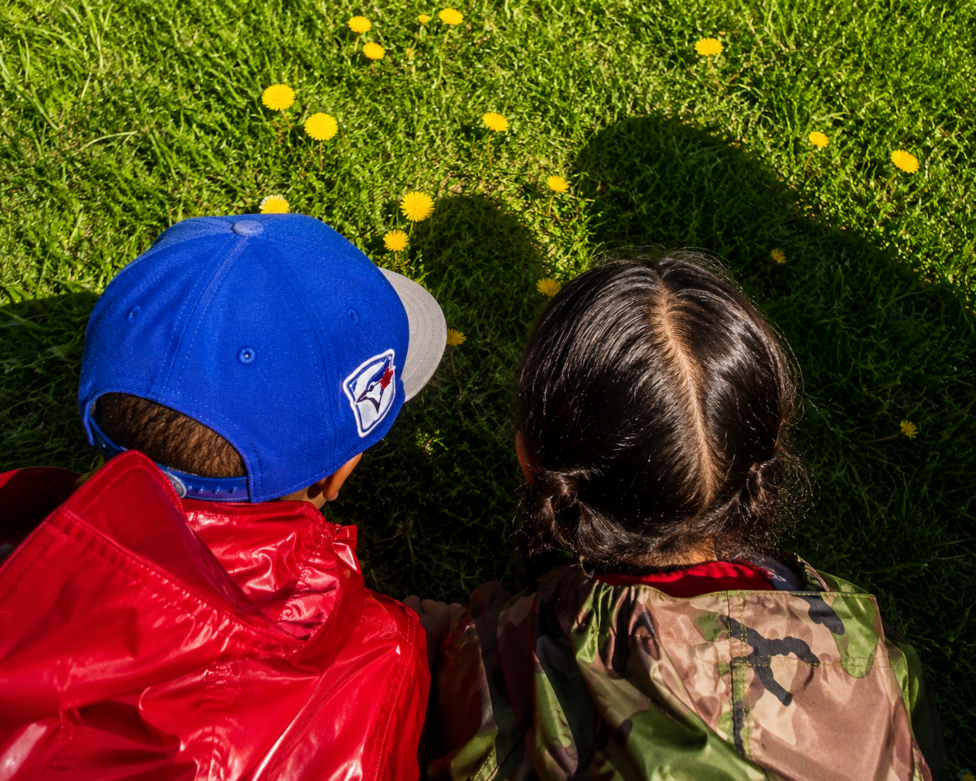 The backs of two children's heads seen observing dandelions in the grass, as a shadow of their heads is cast.