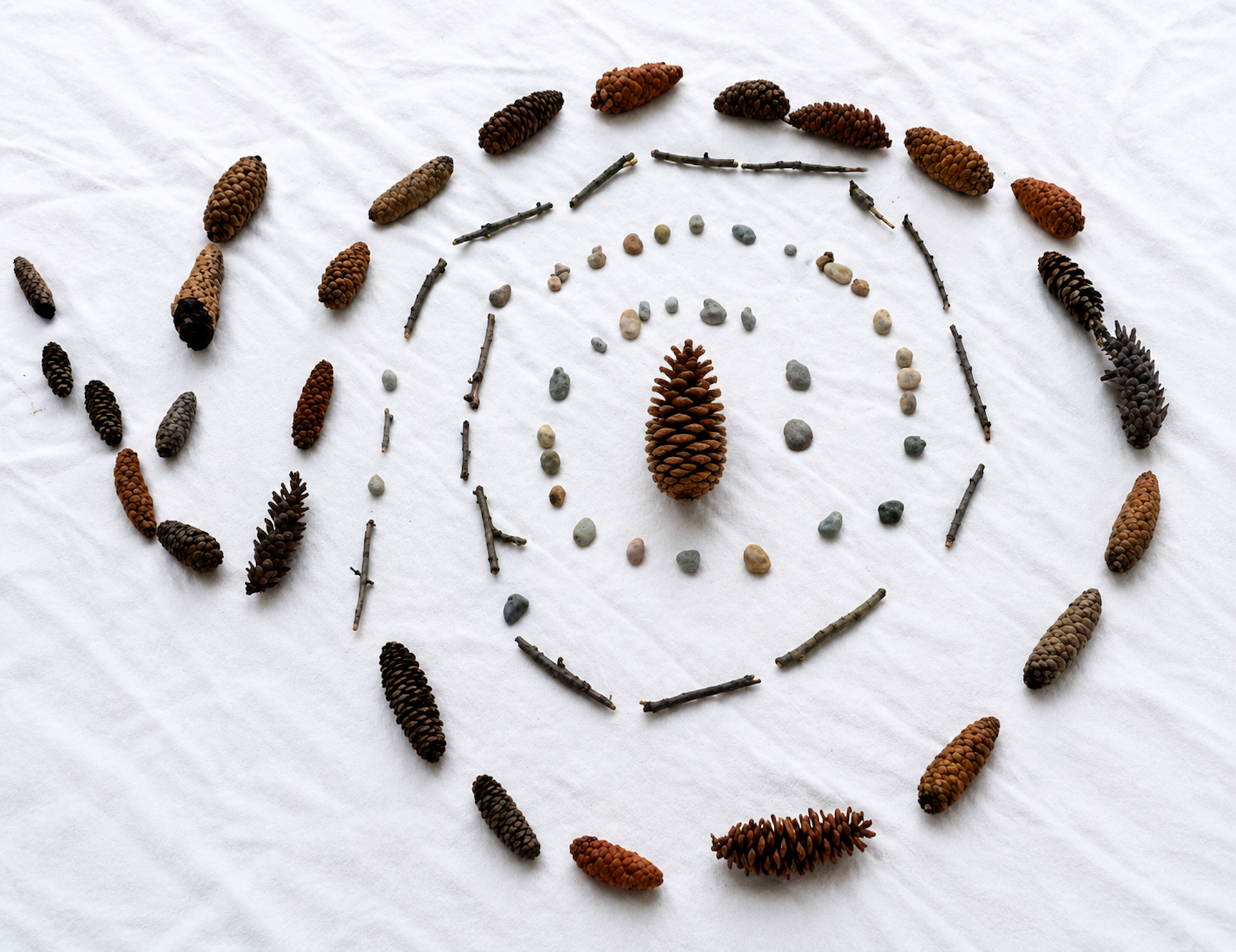 A spiral pattern seen made up of pinecones.