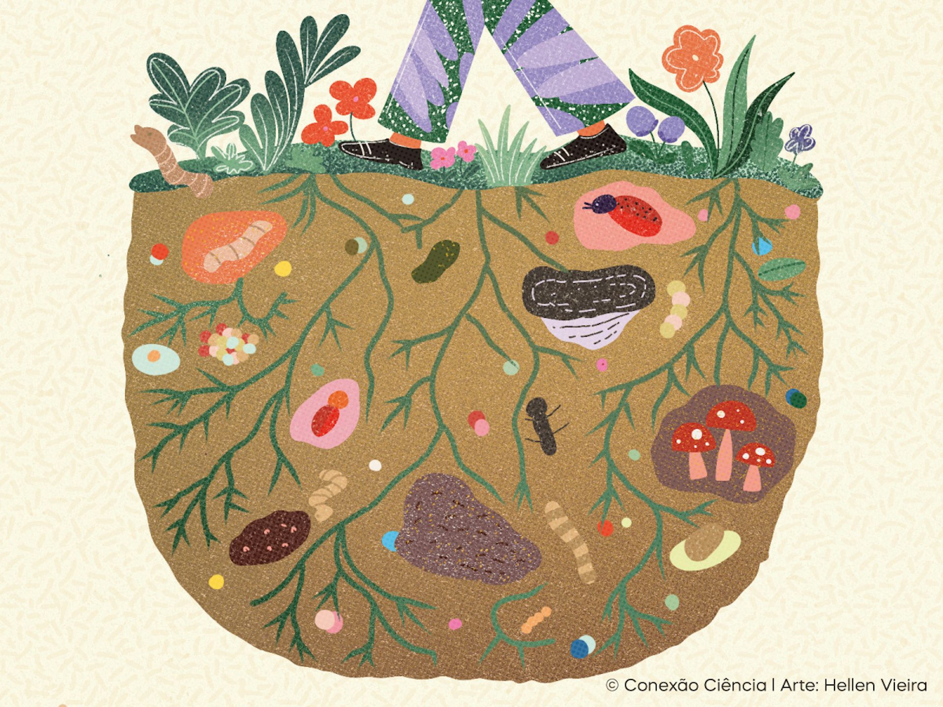 Ilustração mostra pernas pisando num solo. O que vemos é o que está por baixo da grama que os pés pisam - vários organismos vivos