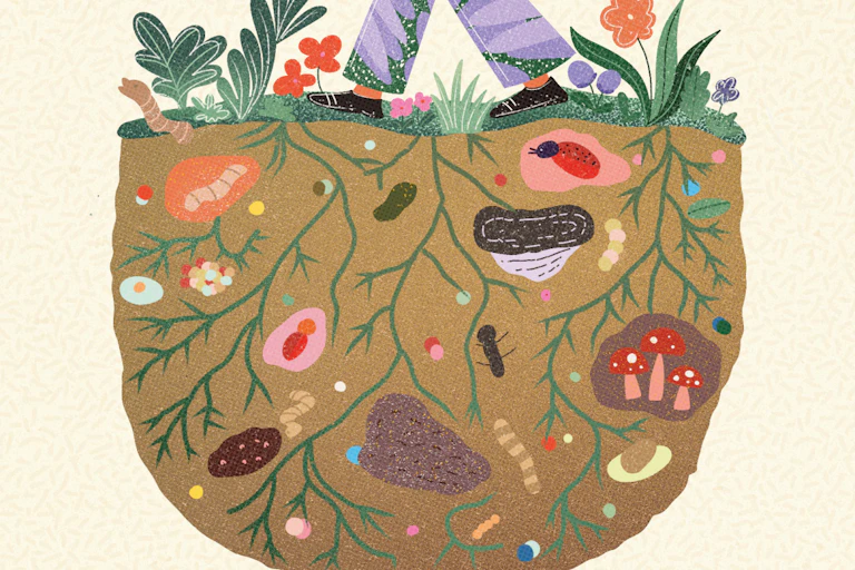 Ilustração mostra pernas pisando num solo. O que vemos é o que está por baixo da grama que os pés pisam - vários organismos vivos