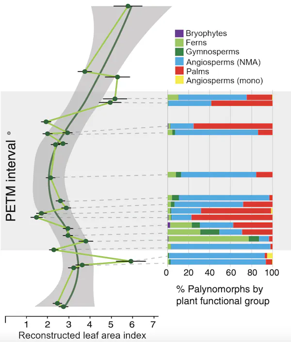 Two charts show how tree canopy declined, while palms expanded, then palms shrunk as the canopy grew again.
