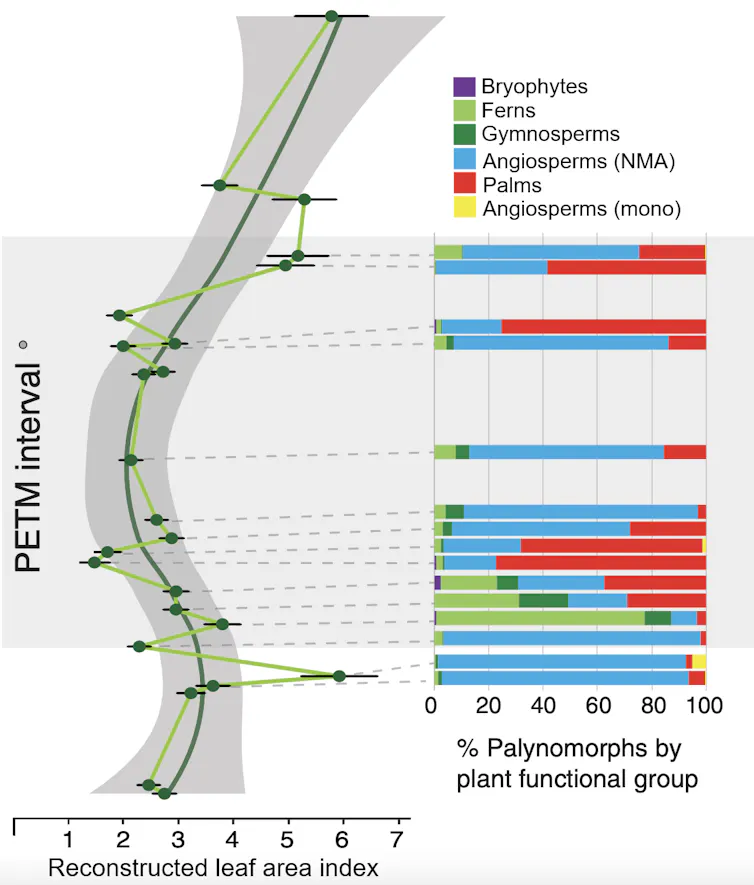 Two charts show how tree canopy declined, while palms expanded, then palms shrunk as the canopy grew again.