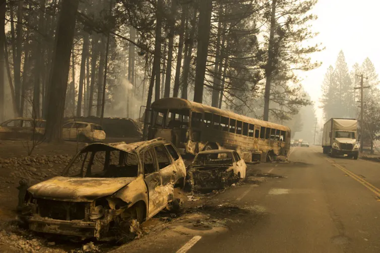 Burnt out cars in woodland