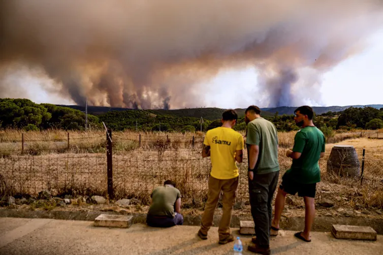 People watch a wildfire from afar